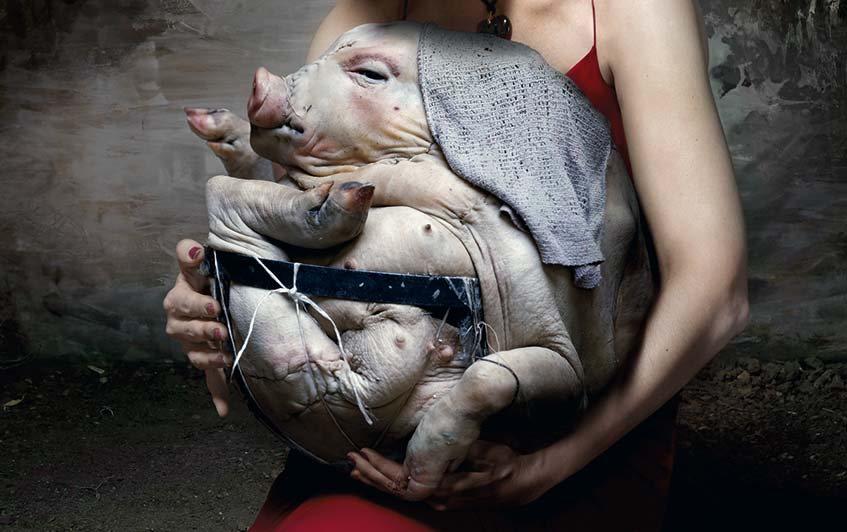 Madonna
